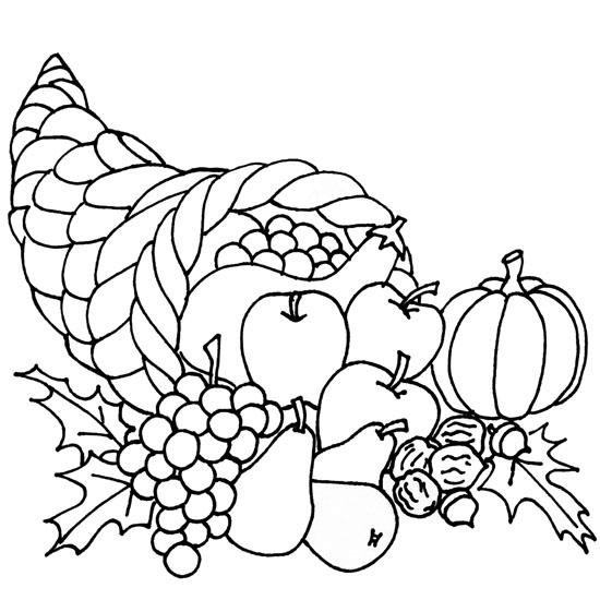 November 4 Newsletter